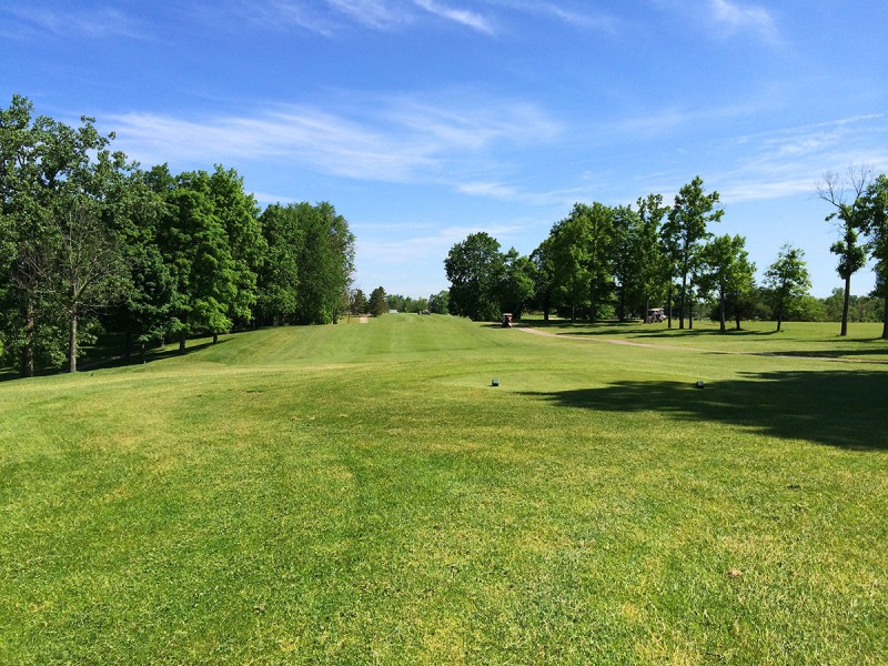 Course Greens
