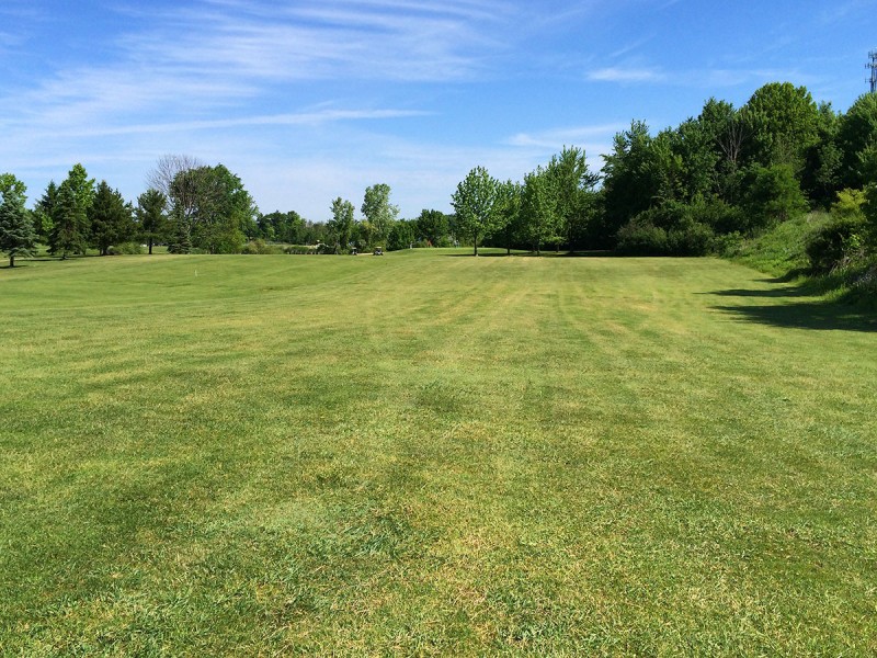 Course Greens
