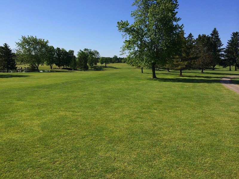 Course Greens
