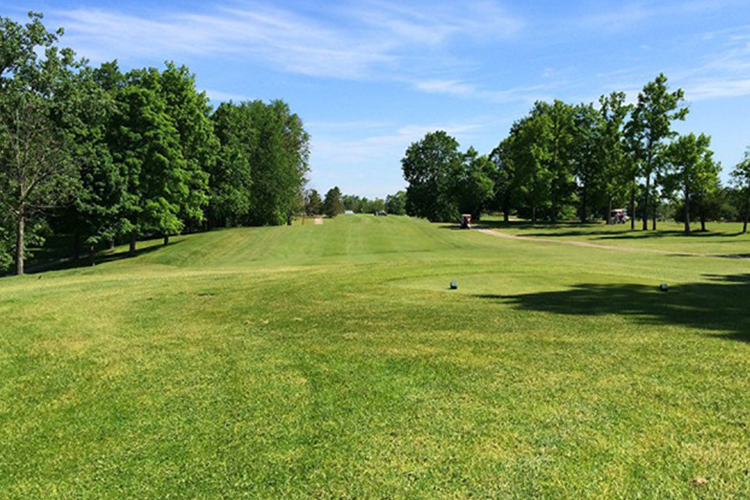 Golf Course Green